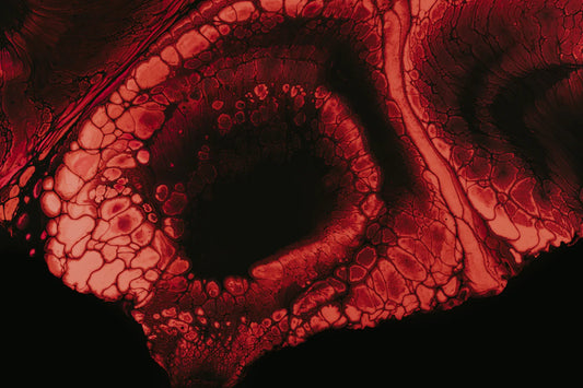 Optimaliseer je Ervaring met Transdermale Patches