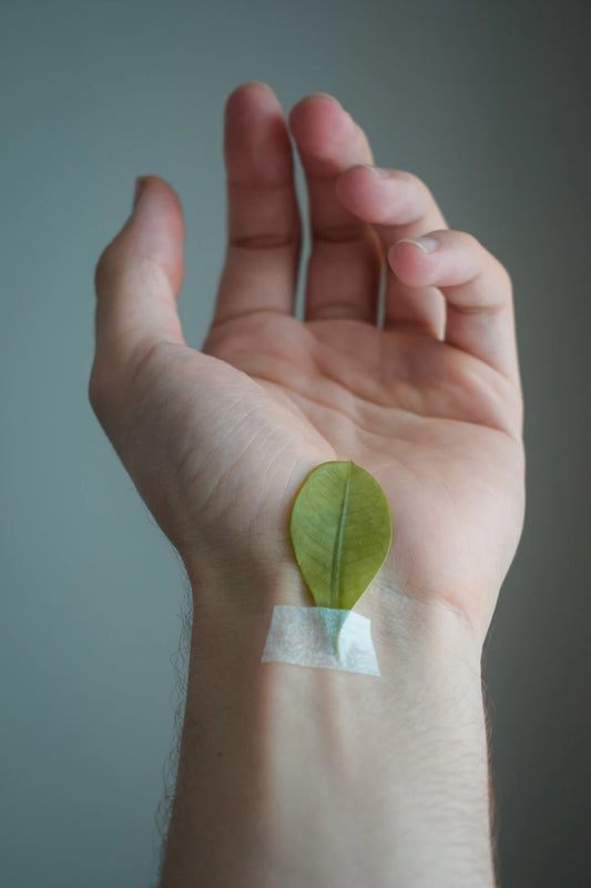 Ontdek Populaire Ingrediënten in Transdermale Patches