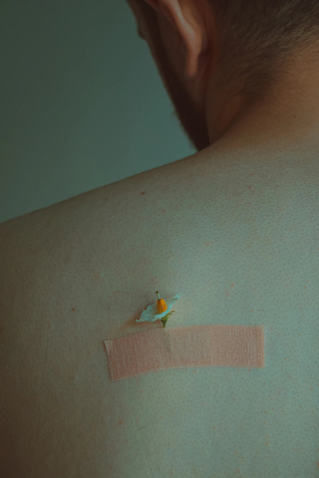Ontdek de Revolutie van Transdermale Patch Technologie