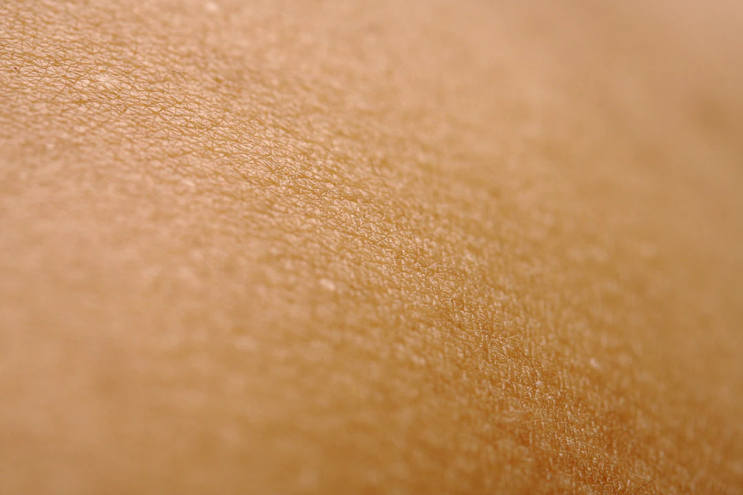 Ondersteun je huid en haar met transdermale pleisters